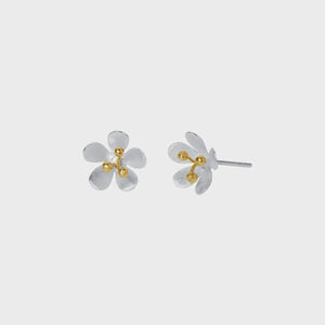Christin Ranger Gold and Silver Daisy Flower Stud Earring