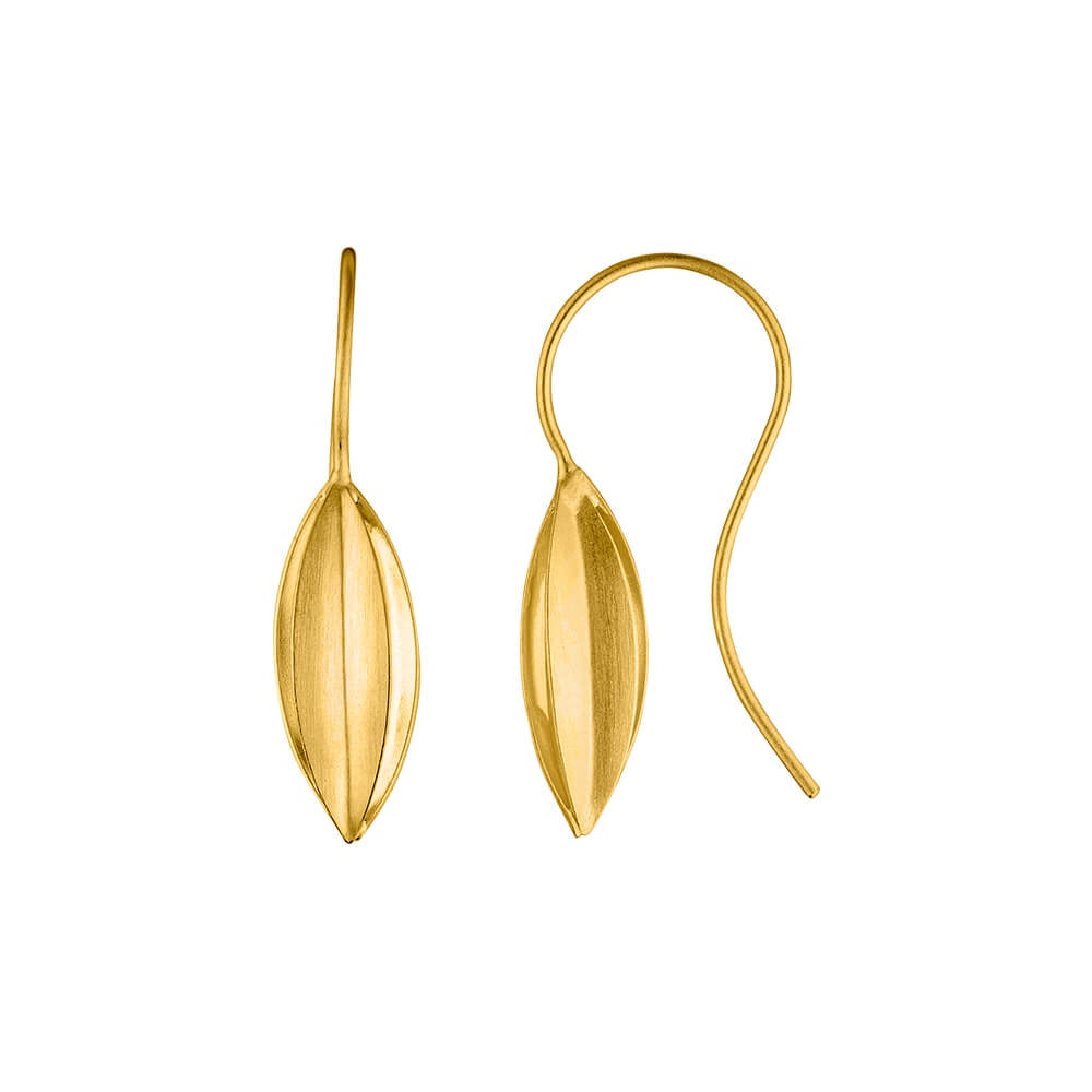 Golden Seed pod Earrings